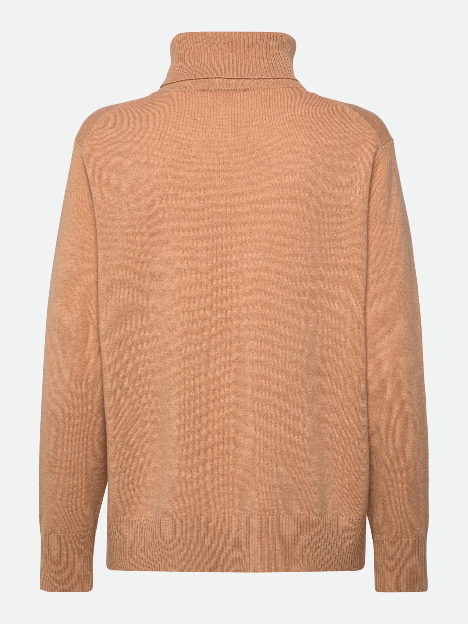 RWLaica Cashmere Long Sleeve Roll Neck