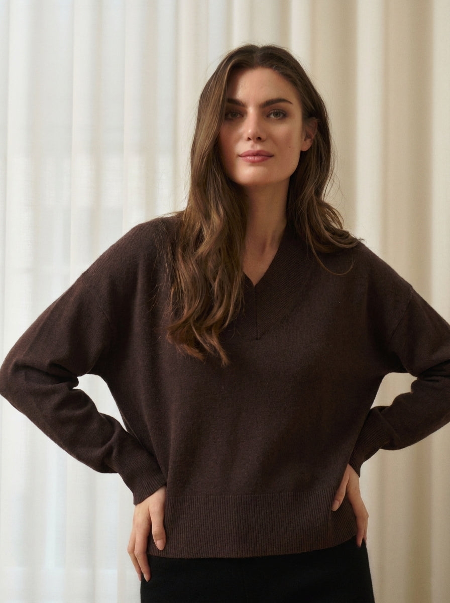 RWLaica Kaschmir-Pullover mit V-Ausschnitt und langen Ärmeln